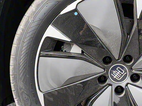 2025�� DM 175KM���˻���Ұ�