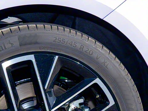 2025�� Max���̰�