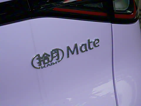 2026�� Mate 305km ����̤�˰�