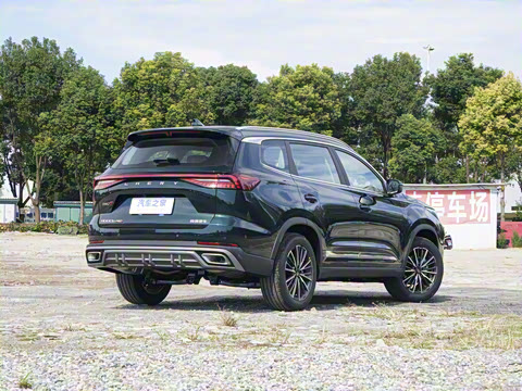 2025�� 290T ��������