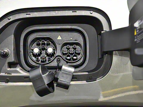 2024�� ����������