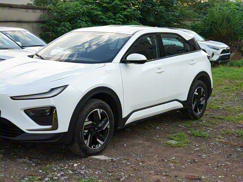 2025�� 500 ��ҵ��