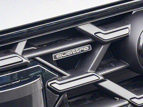 2025�� 55 TFSI quattro ������