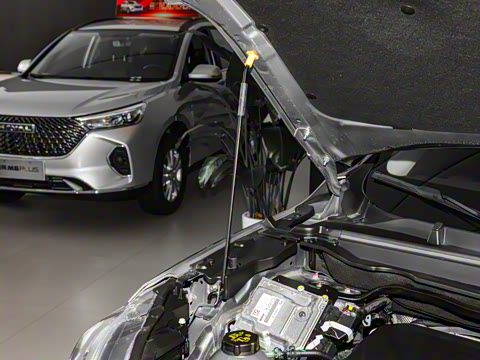 2023�� 1.5T ������