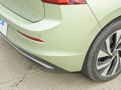 2025�� 300TSI Pro