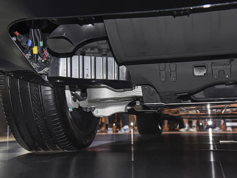 2025�� ������