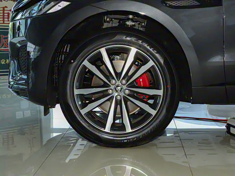 2024�� P250 R-Dynamic SE