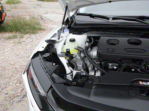 2025�� 1.5T EcoBoost ������