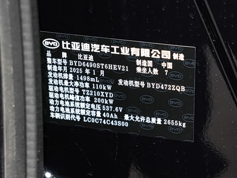 2025�� DM-i 175KM �캽��