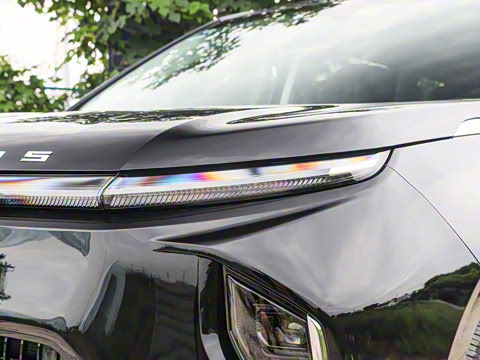 2024�� ���� ��������ɭ�ְ� ����