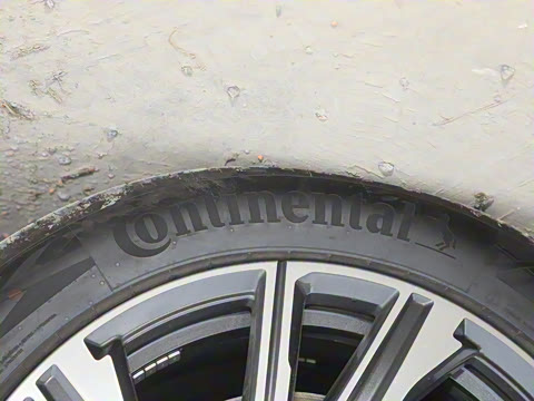 2024�� ���� ��������ɭ�ְ� ����