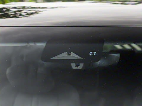 2024�� ���� ��������ɭ�ְ� ����