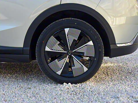 2025�� 565km ������