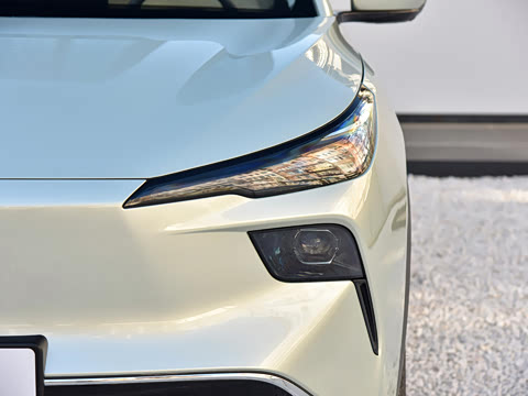 2025�� 565km ������