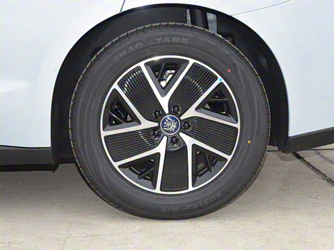 2024�� DM-i 120KM��Խ��