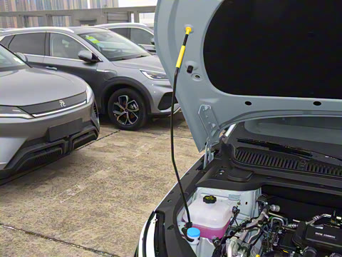 2024�� DM-i 120KM��Խ��