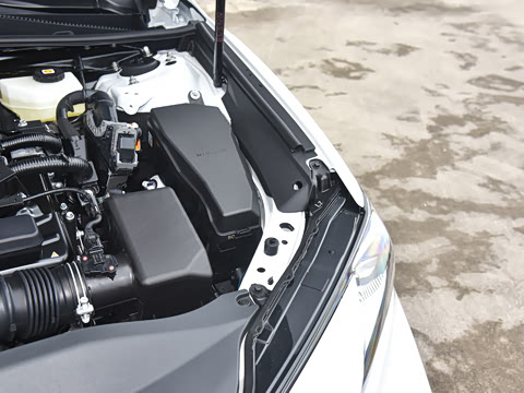 2024�� ˫�� 2.5HG ����