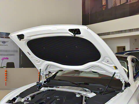 2026�� 4.0T V8 Mulliner