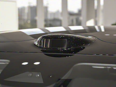 2024�� Max ����������