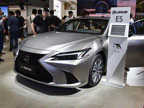 2025�� ��ҫ�ر��