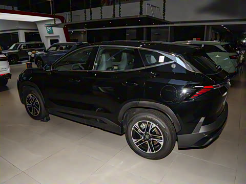 2024�� 1.5TD DHT MAX