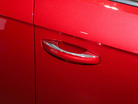 2025�� 300TSI DSG���������