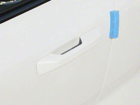 2025�� ������������ Plus