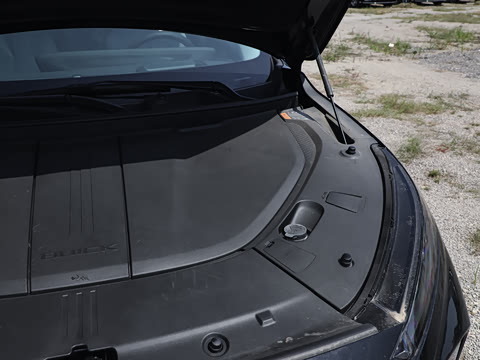 2023�� ������������