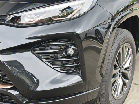 2024�� ˫�� 2.5L E-CVT��������PLUS��