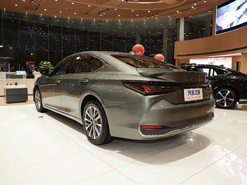 2025�� 300h ������