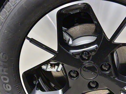 2025�� 310km �����