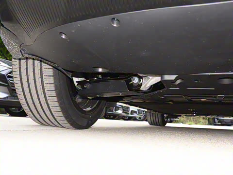 2025�� Max �����