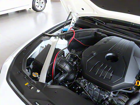 2024�� 2.0T ����������