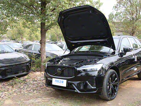 2025�� B5 ������Զ��ҹ�ڰ�