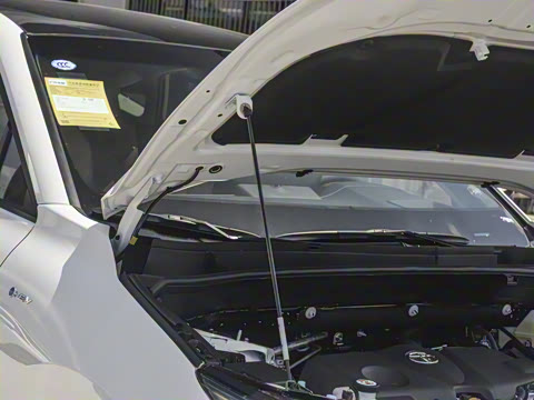 2024�� 2.5L���ܵ��˫�� �����Ƽ���