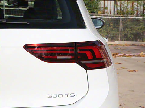 2025�� 300TSI Pro