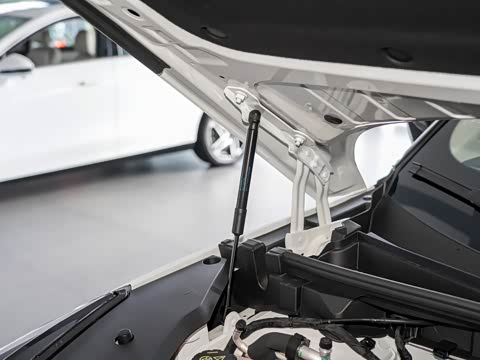 2024�� 135�콢��