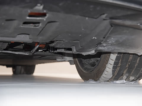 2025�� EV ����������