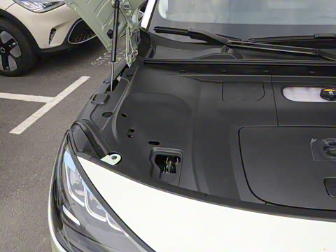 2026�� �鶯��������