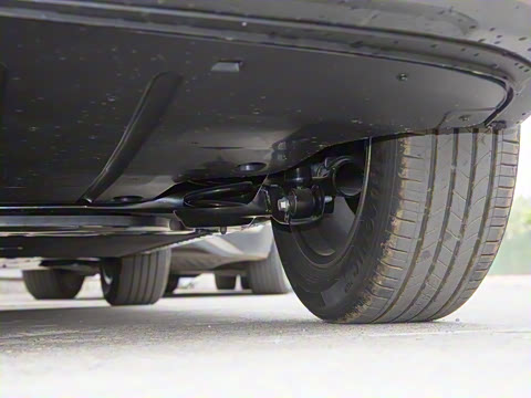 2025�� 445km ��ѡ��