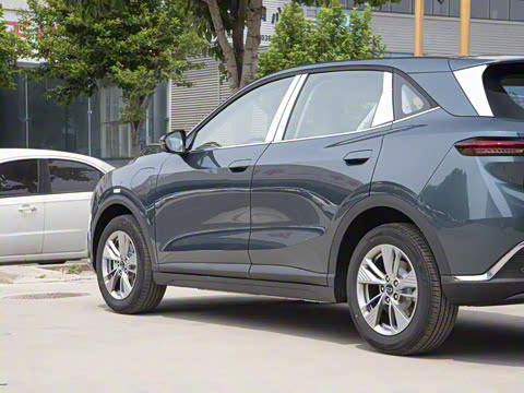 2025�� 445km ��ѡ��