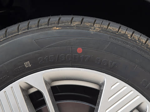 2025�� 445km ��ѡ��