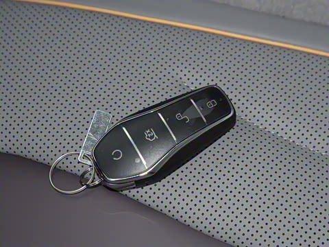 2024�� ��ҫ�� DM-i 100KM ������