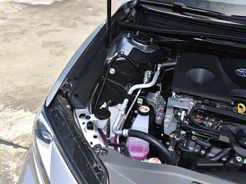 2024�� 2.0GVP ������