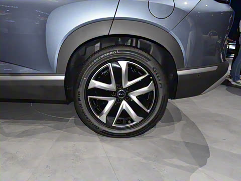 2025�� 135 �����ܼ����״��