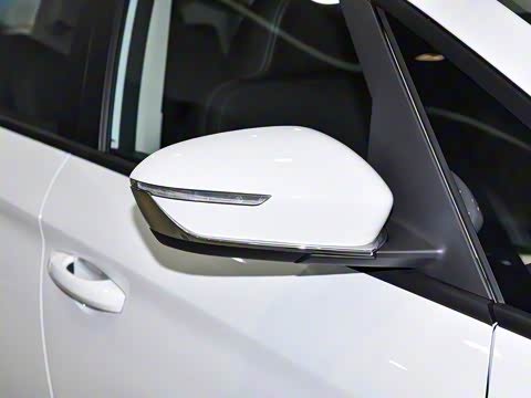 2025�� ��������