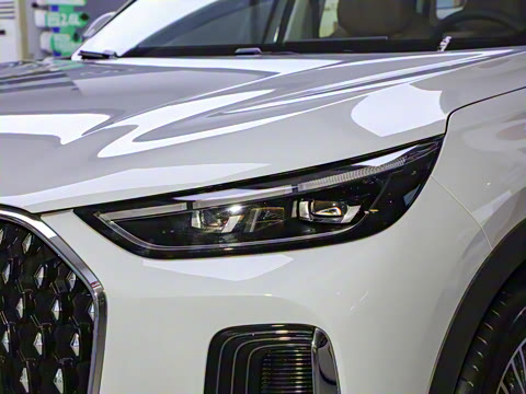 2024�� 2.0T �������� 5��