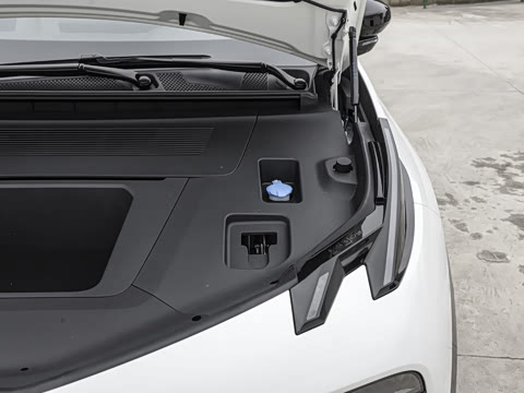 2025�� ������������