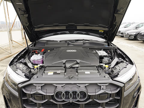 2025�� 55 TFSI quattro S line��ѩ�˶���