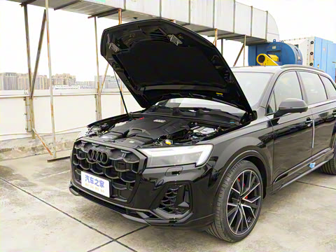 2025�� 55 TFSI quattro S line��ѩ�˶���